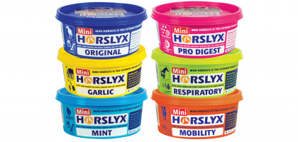 HORSLYX Respiratory, 650 g