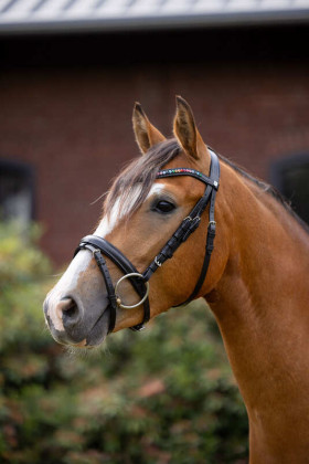 Uzdečka Horze Rainbow pony