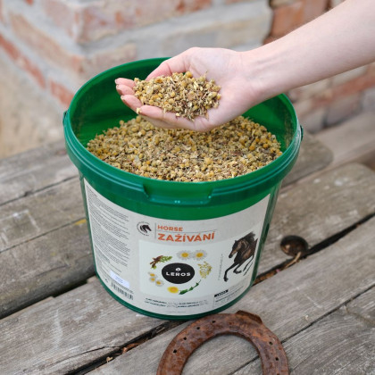 Leros Zažívání pro koně 1000g