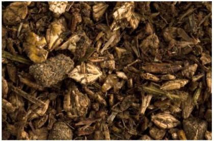 Hippolyt Vital Müsli Beste Jahre 20 kg