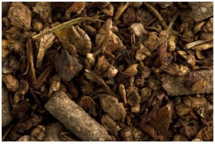 Hippolyt Structur Energetikum 20 kg