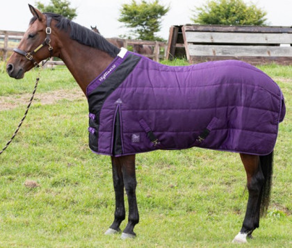 Deka stájová Harry´s Horse Highliner 200g fialová