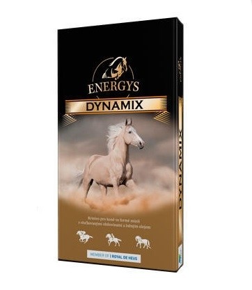 Energy´s Dynamix 20 kg