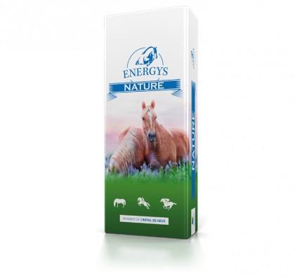 Energy´s Nature CORNFLAKES 15kg