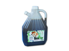 Gelapony Fast Biosol 3000ml