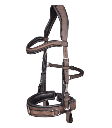 Kožený lonžovací obnosek W 