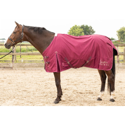 Výběhová deka Harrry´s Horse Thor 0 gr fialová
