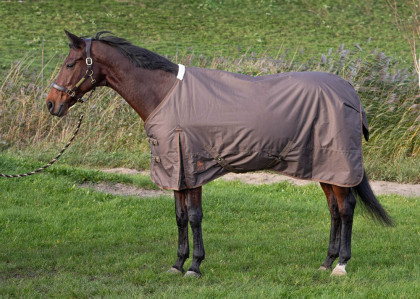 Výběhová deka s Harry´s Horse Thor 200g hnědá