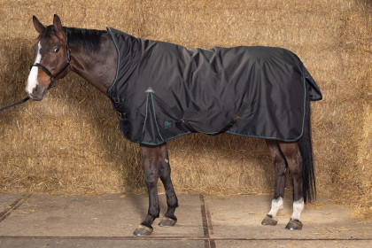 Výběhová deka s vyšším krkem Harry´s Horse Thor 200g