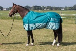 Deka Harry´s Horse nepromokavá tyrkysová Pony v...
