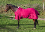 Deka stájová Harry´s Horse Highliner 200g růžová
