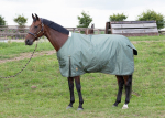 Výběhová deka s Harry´s Horse Thor 200g 